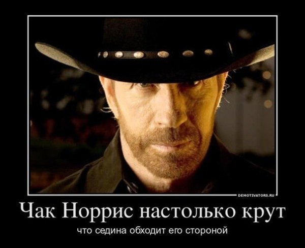 Чае Норис демотиваторы