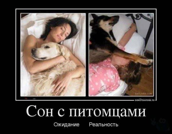 Приколы про сон