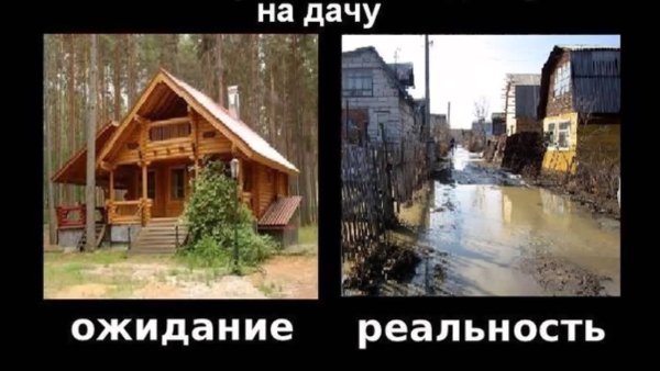 Дача ожидание и реальность