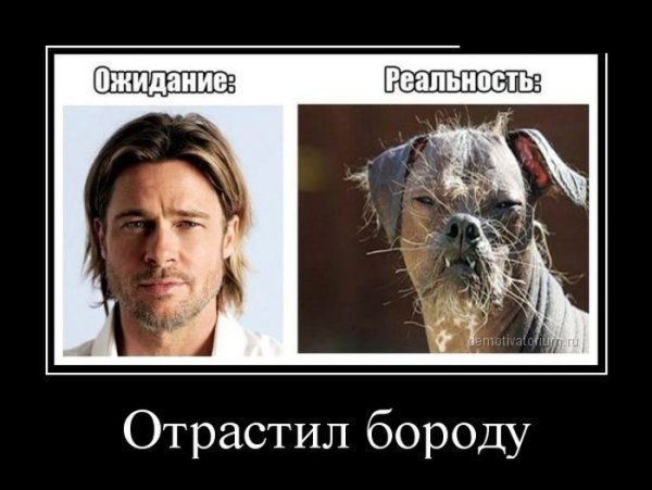 Демотиваторы про бороду