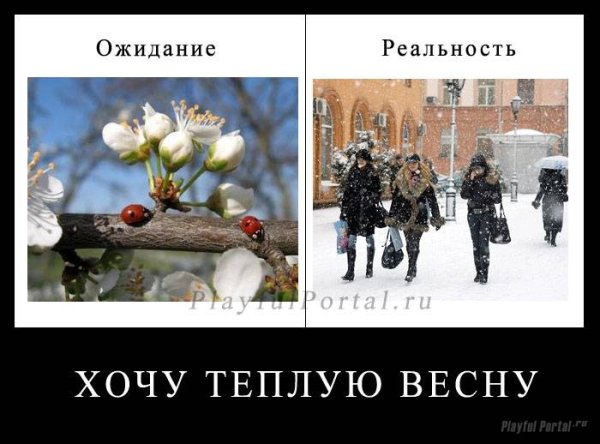 Реальность демотиватор