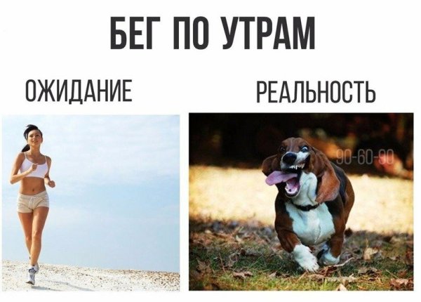 Картинки ожидание и реальность