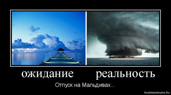 Реальность демотиватор