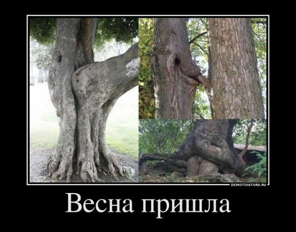 Приколы про весну