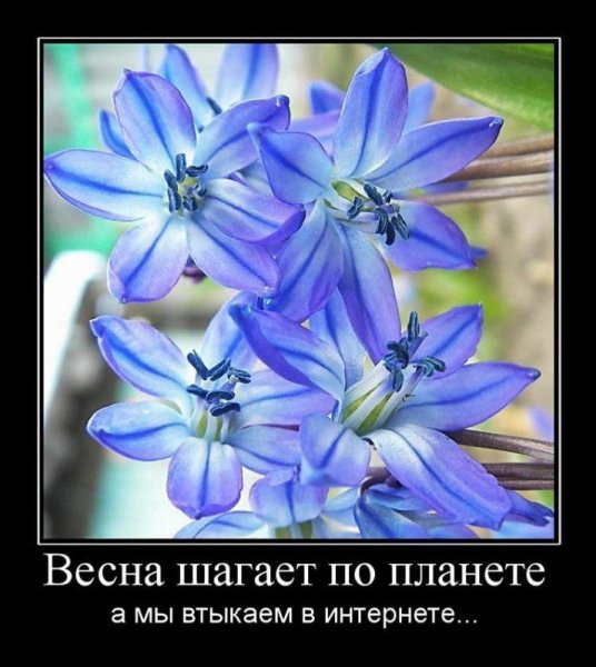 Приколы про весну