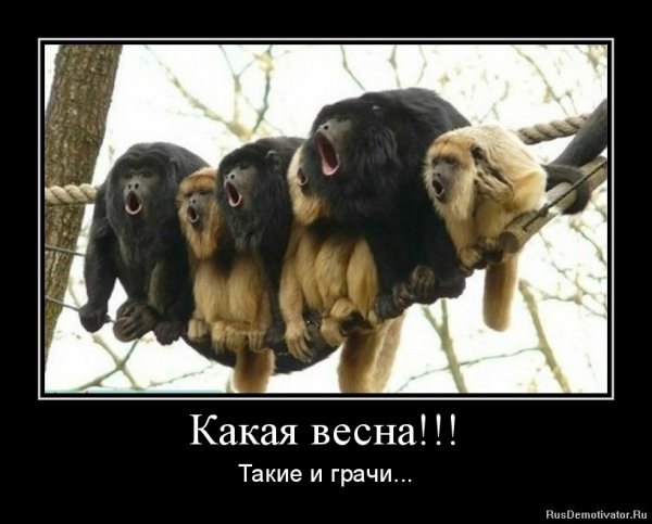 Весна пришла приколы