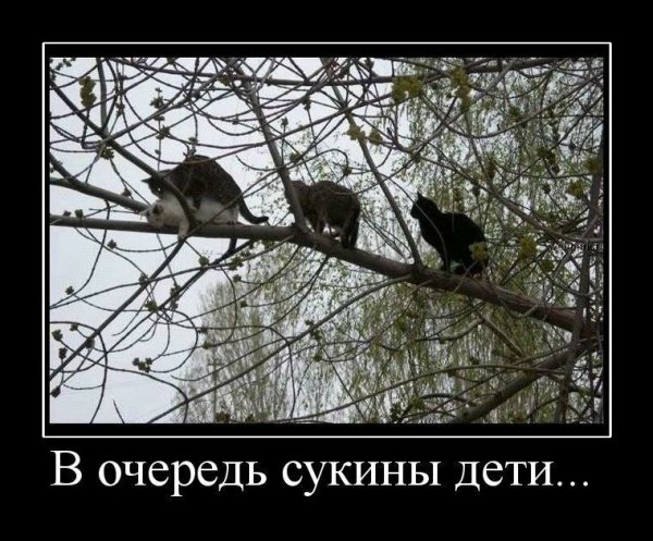 Шутки с воздушными шарами