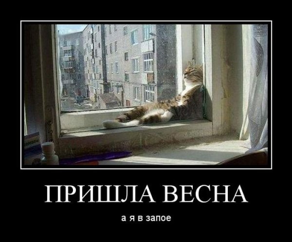 Приколы про весну