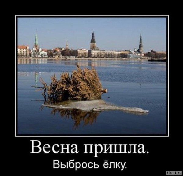 Демотиваторы про весну