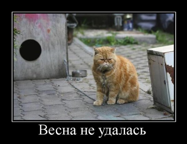 Пришла Весна пора любви кого