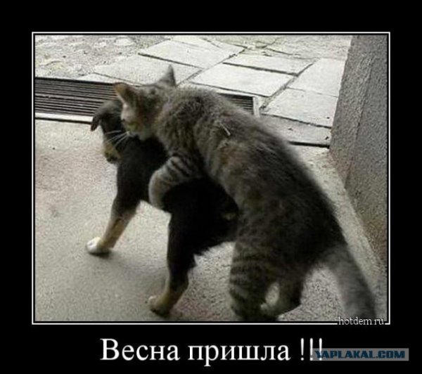 Приколы про весну