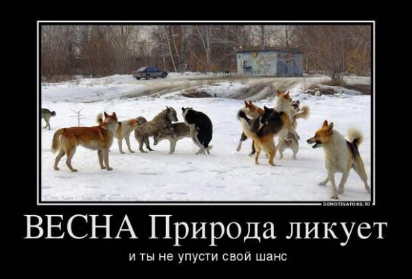 Приколы про весеннюю грязь