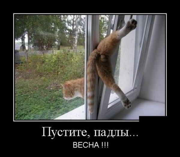 Веселые шутки про весну