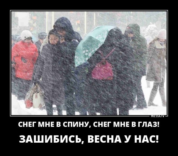 Демотиваторы холодная Весна