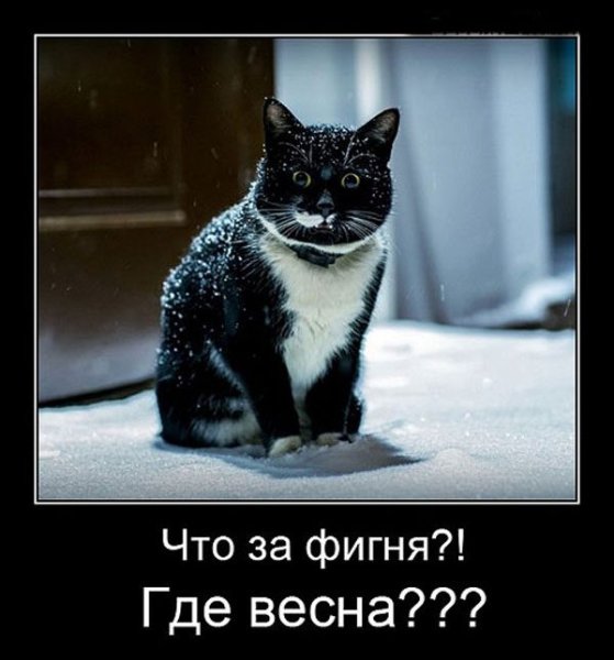 Где Весна
