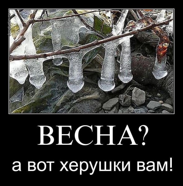 Приколы про весну