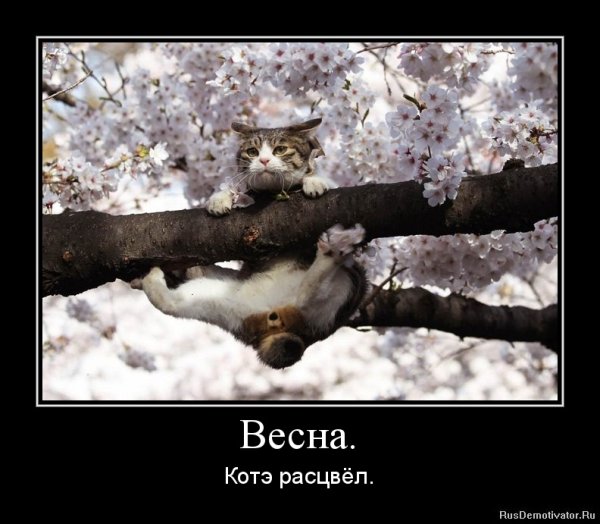 Весна юмор