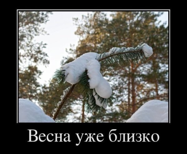 Приколы про весну смешные