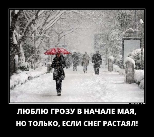 Снег юмор