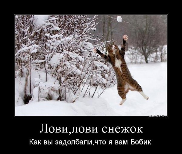 Ура снег