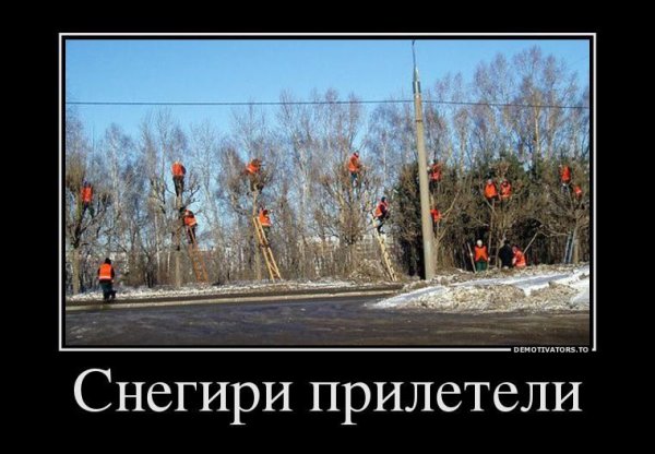 Демотиватор Снегири прилетели