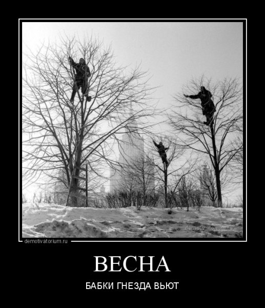 Весна демотиваторы смешные