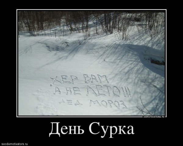 Демотиваторы про зиму прикольные