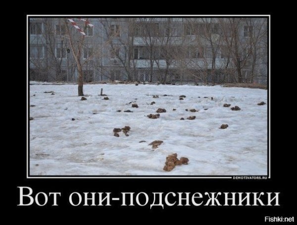 Приколы про весну смешные