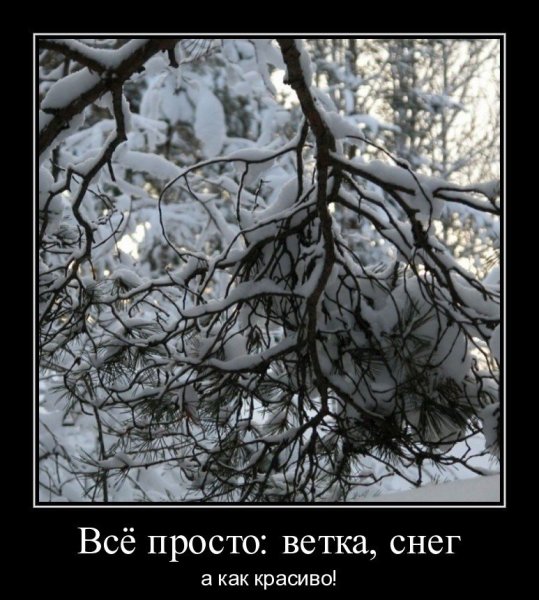 Статусы про снег