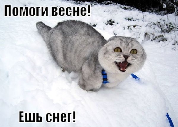 Помогай весне ешь снег