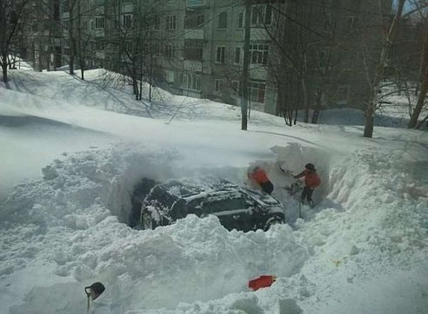 Приколы о снежной весне