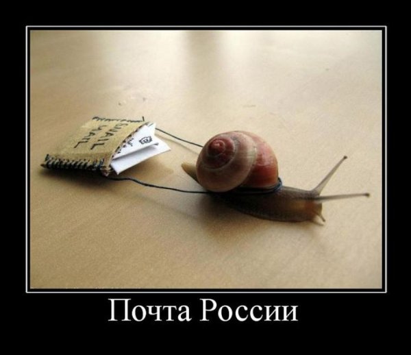 Нет недостижимых целей есть