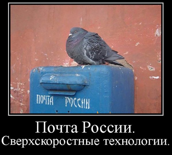 Почта России демотиваторы