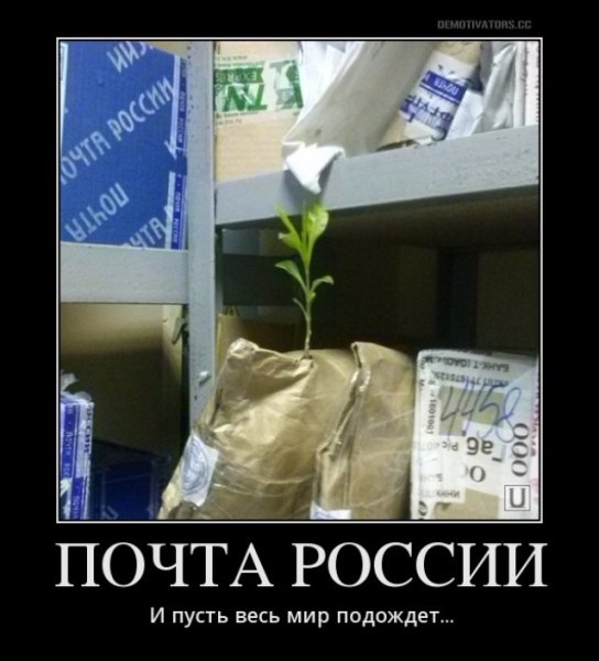 Почта России юмор