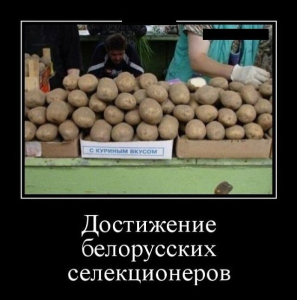 БУГАГА прикольные картинки