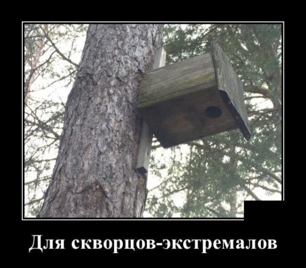 Море приколы