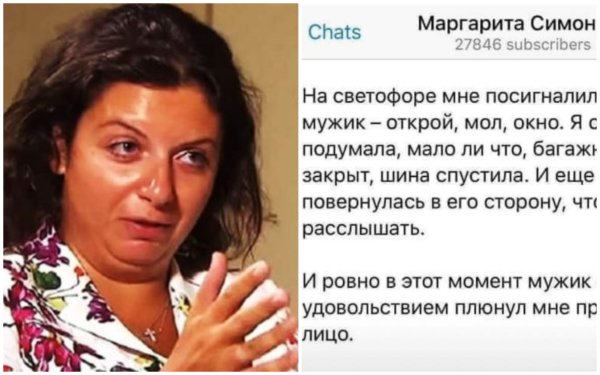 Симоньян карикатура