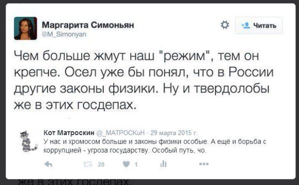 Цитаты Симоньян