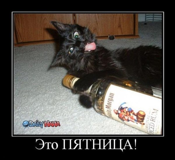 Смешные демотиваторы пятница