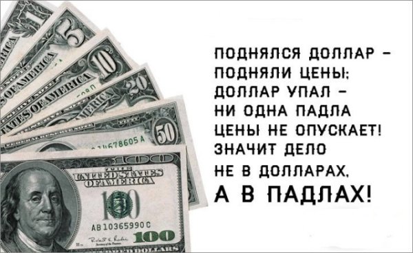 Когда получил зарплату демотиватор