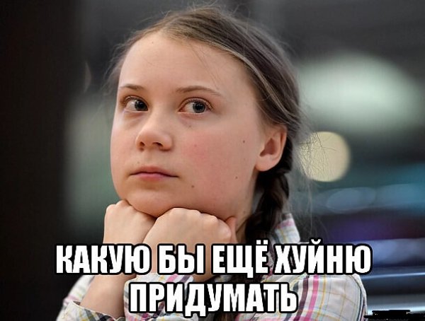 Грета Тунберг Мем