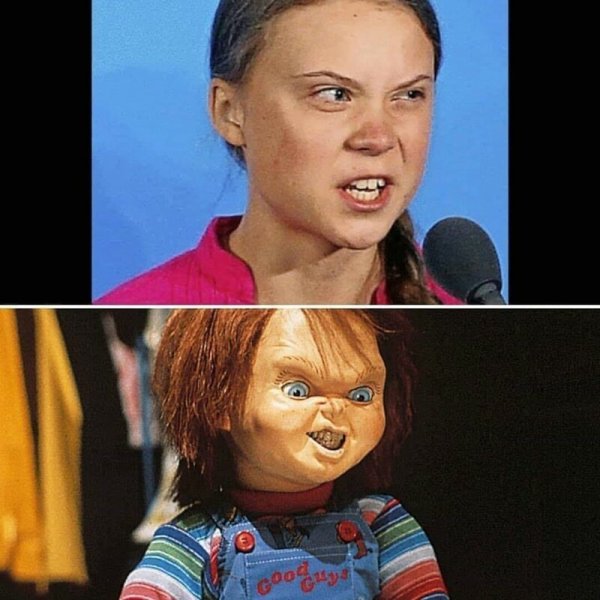 Гретта Тунберг мемы