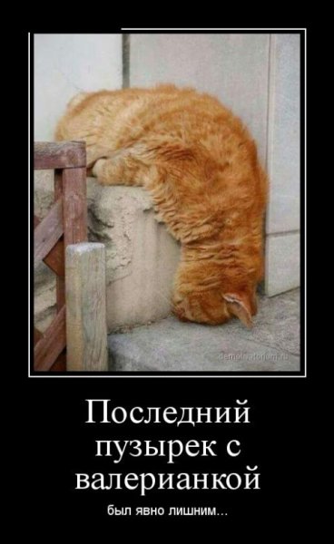 Суббота демотиватор