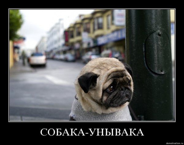 Шутки про рабочую субботу