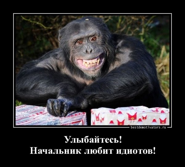Приколы про начальника