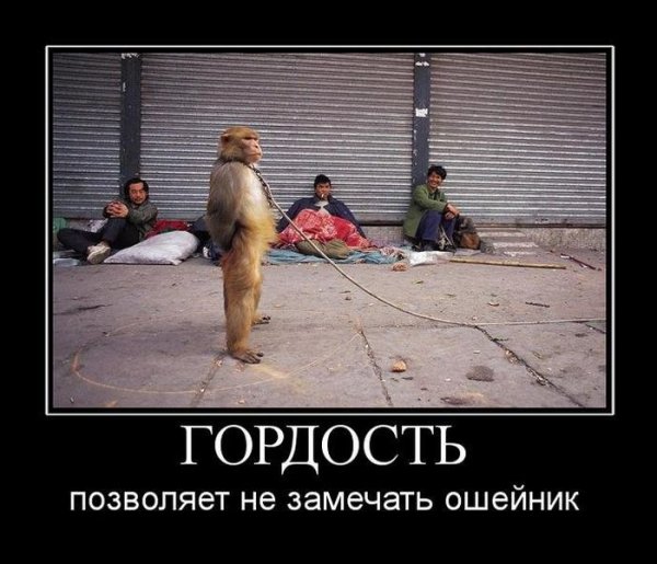 Гордость демотиватор