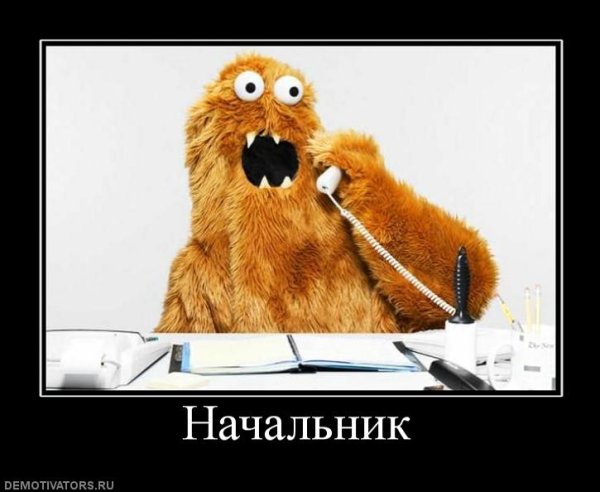 Начальник смешные