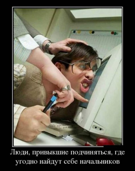 Смешные цитаты про начальника
