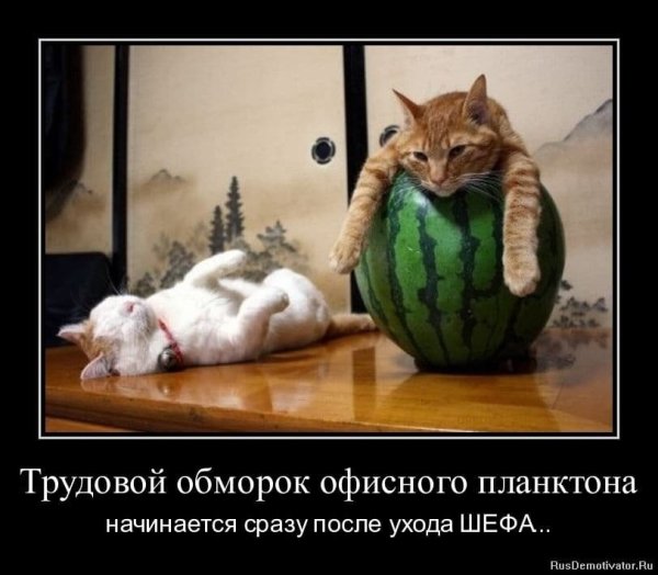 Демотиваторы смешные про начальство