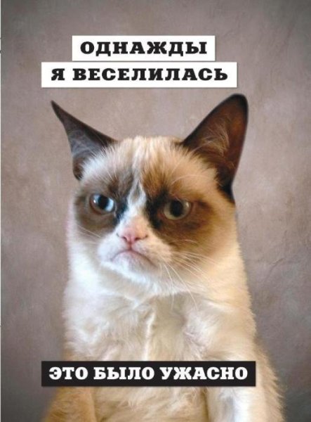 Угрюмый кот мемы